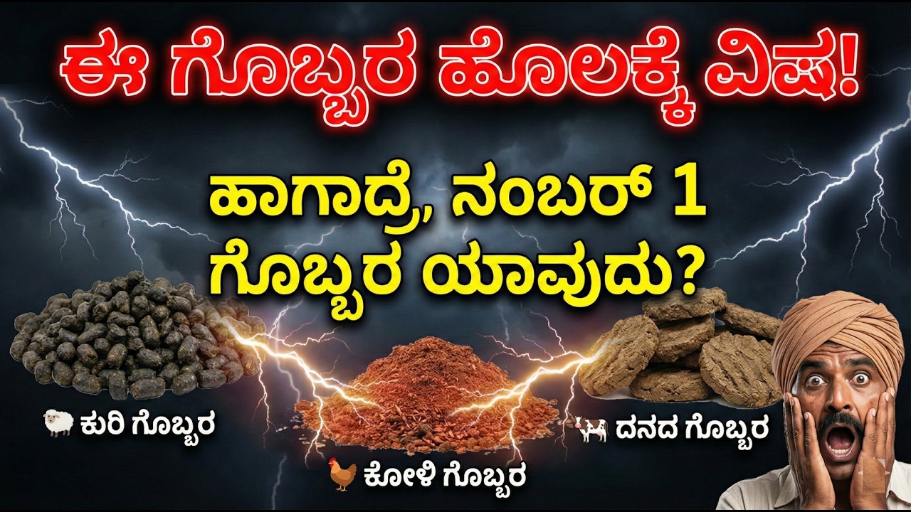 ರೈತರೇ, ಯಾವ್ ಗೊಬ್ಬರ ಚೊಲೋ? ವಿಜ್ಞಾನ ಹೇಳುವ ನಿಜವಾದ ಉತ್ತರ ನಿಮ್ಮನ್ನ ಬೆಚ್ಚಿಬೀಳಿಸ್ತದೆ!  Organic Farming