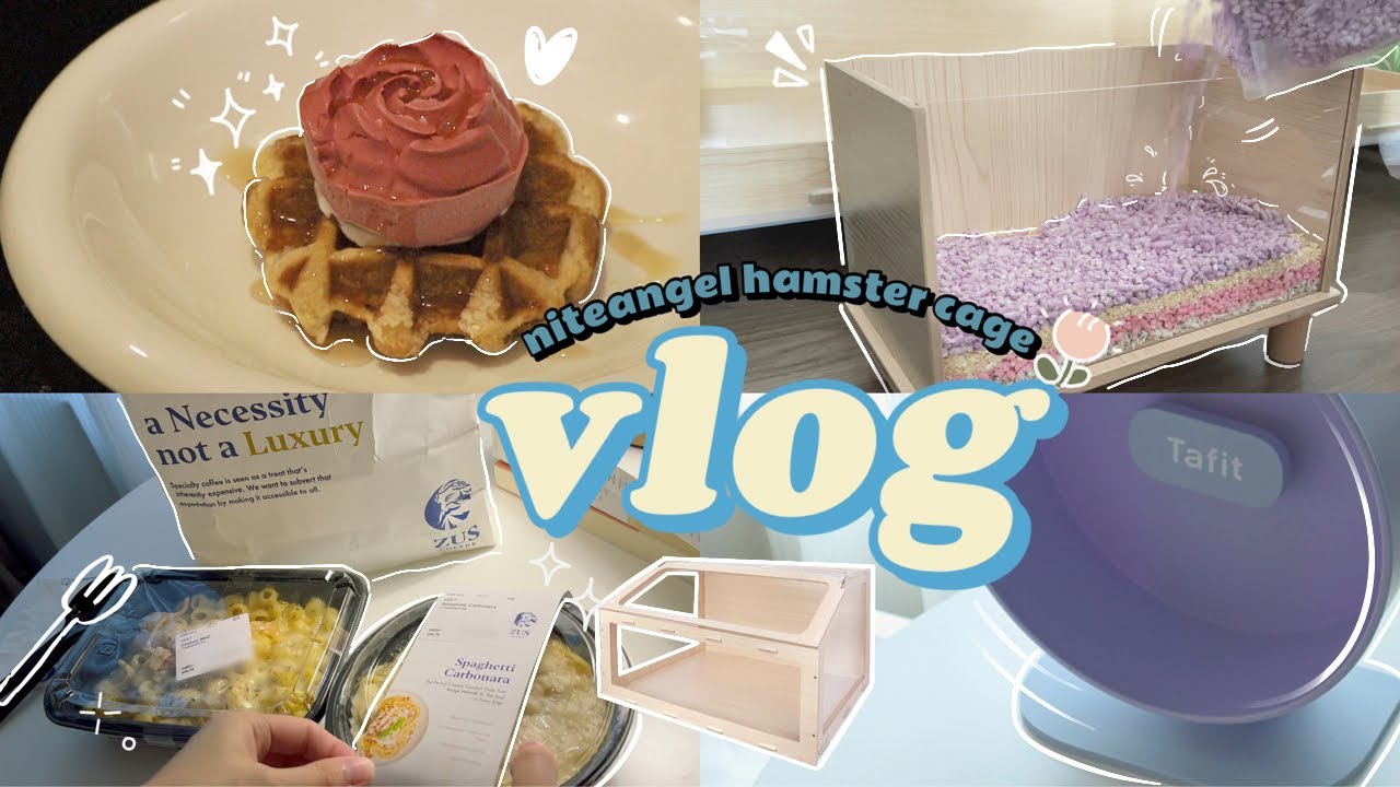vlog | Unboxing Niteangel hamster cage & accessories, ZUS meal & Cornetto Love Rose🍦开箱艾特斜开笼和仓鼠用品📦