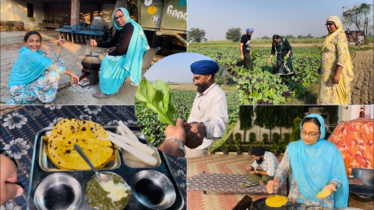 ਸਿਆਲ ਦਾ ਪਹਿਲਾ ਸਾਗ ਮਸਾਂ ਬਣਾਇਆ 😂sardiya da pehla saag masa bnaya