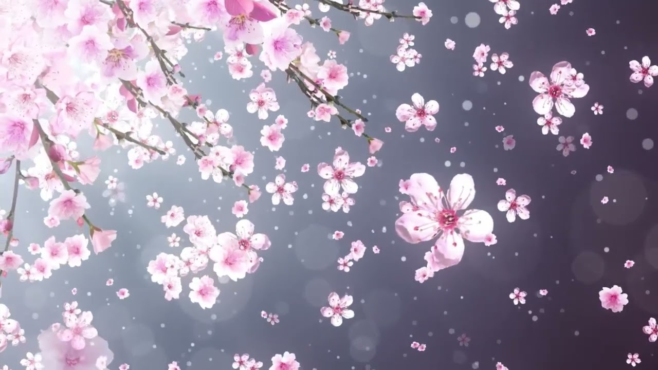 Relaxing Calm Music Healing Calming Stress and Anxiety, Heal Mind, Body and Spirit