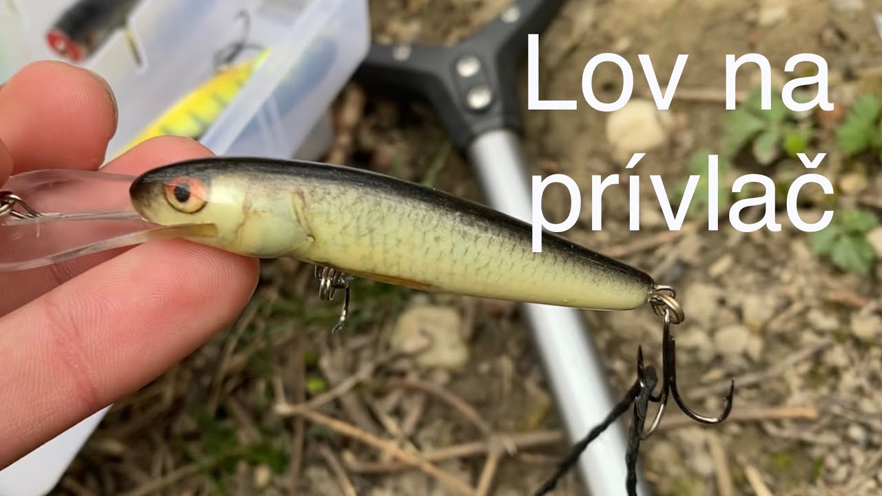 Lov na Prívlač na Malom Dunaji #rybolov #fishing