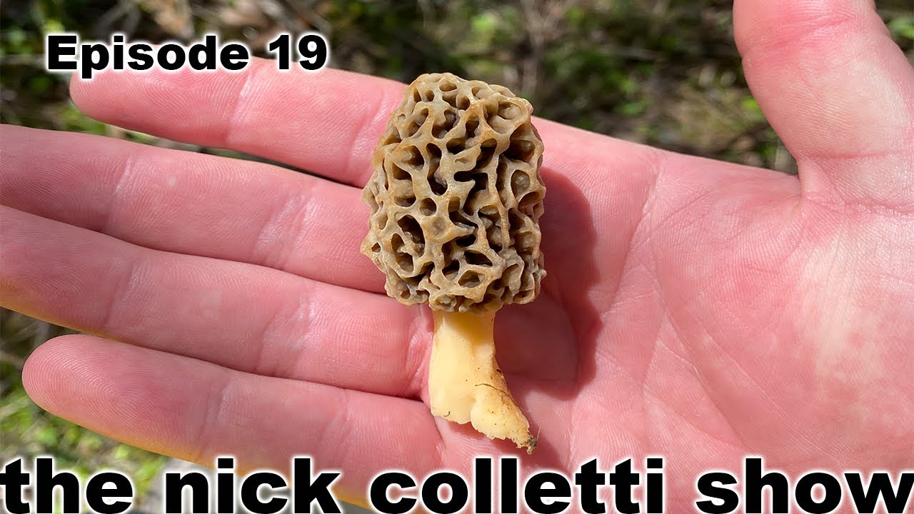 The Nick Colletti Show - Episode 19