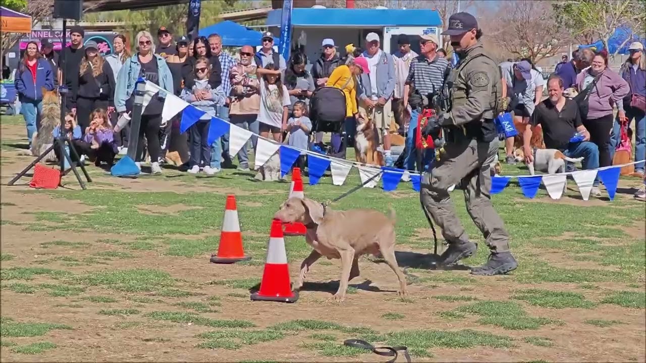 BARK IN THE PARK CORNERSTONE PARK HENDERSON, NV PART 2 03 07 2026