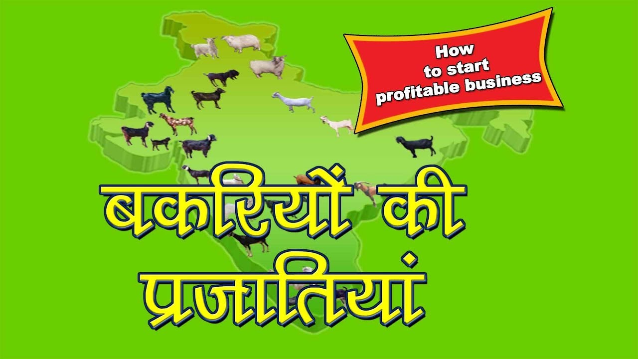 Goat breeds in India | बकरी की भारतीय नस्लें | Goat Farming Business