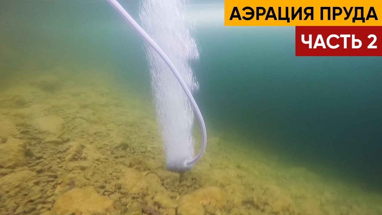 Рассказываю как установить донную аэрацию в ваш пруд