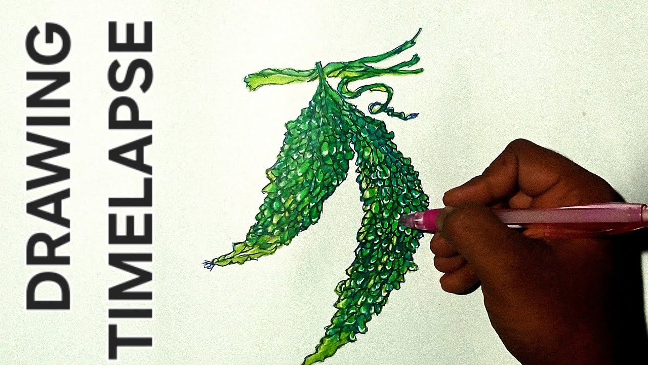 Can I Draw the Texture of Bitter Gourd? | Real-Time Marker Drawing Challenge