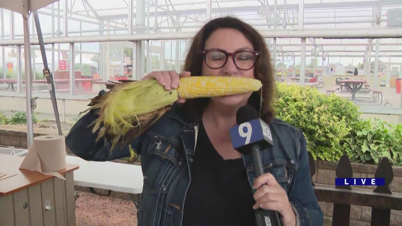 Weekend Break: Goebbert's Pumpkin Farm & Garden Center