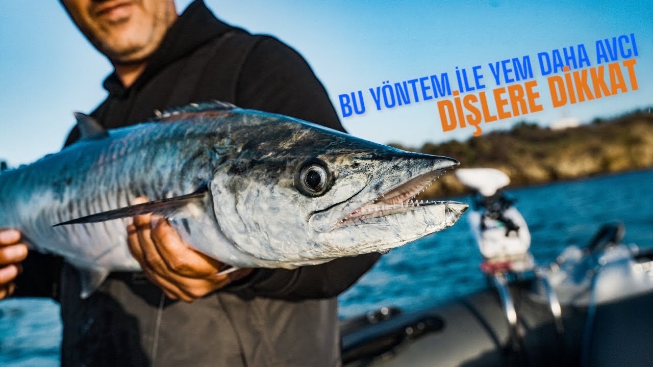 GİZLİ HAZİNE - DEV CEYLAN PALAMUDU YAKALADIK!
