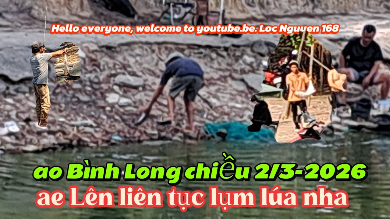 Binh Long pond, afternoon of March 2nd,  thanks everyone and wishes everyone peace and well-being.