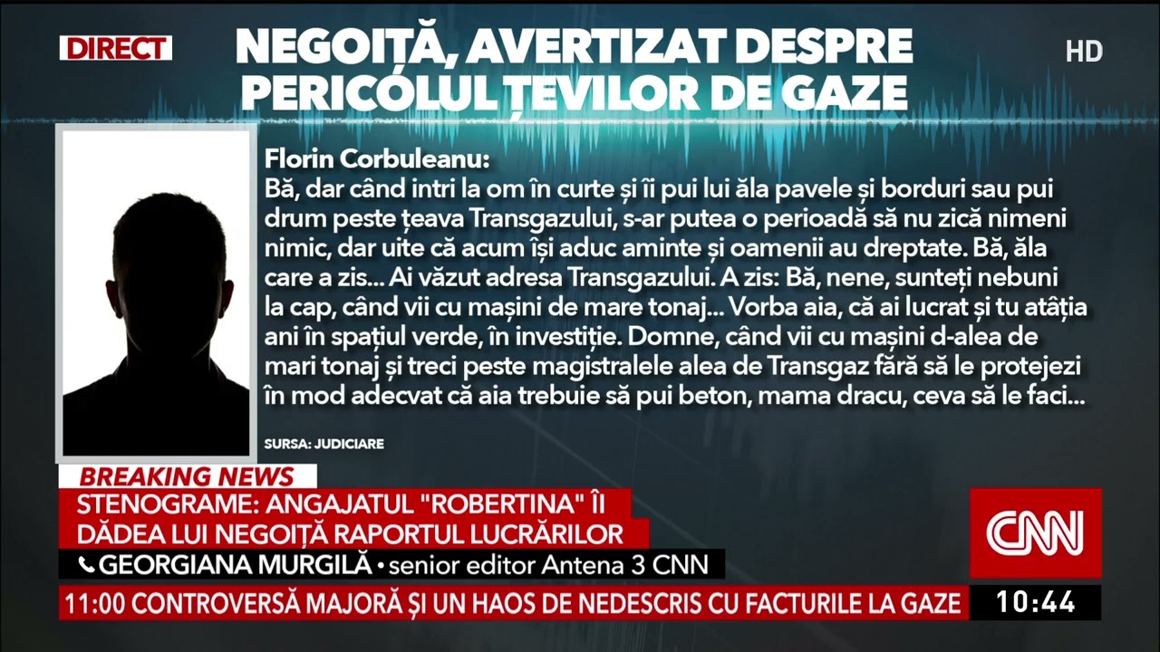 Stenograme din dosarul lui Negoiță: Cum a fost avertizat primarul