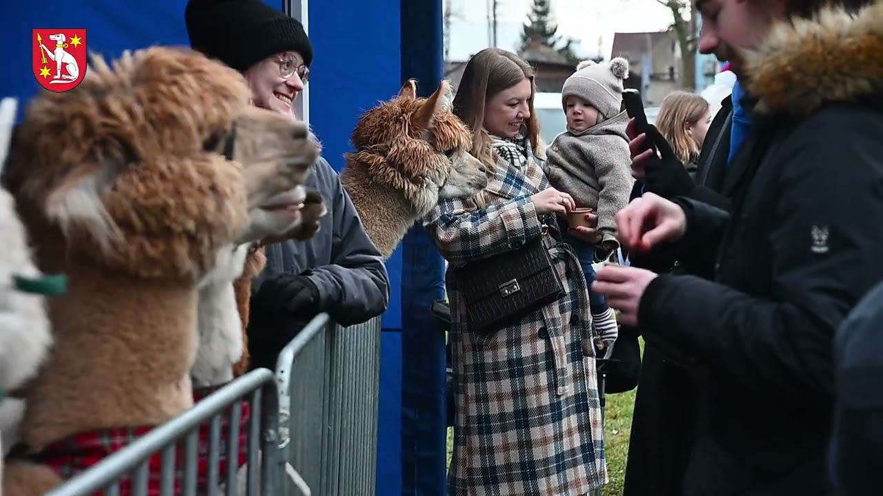 Jarmark bożonarodzeniowy 2024