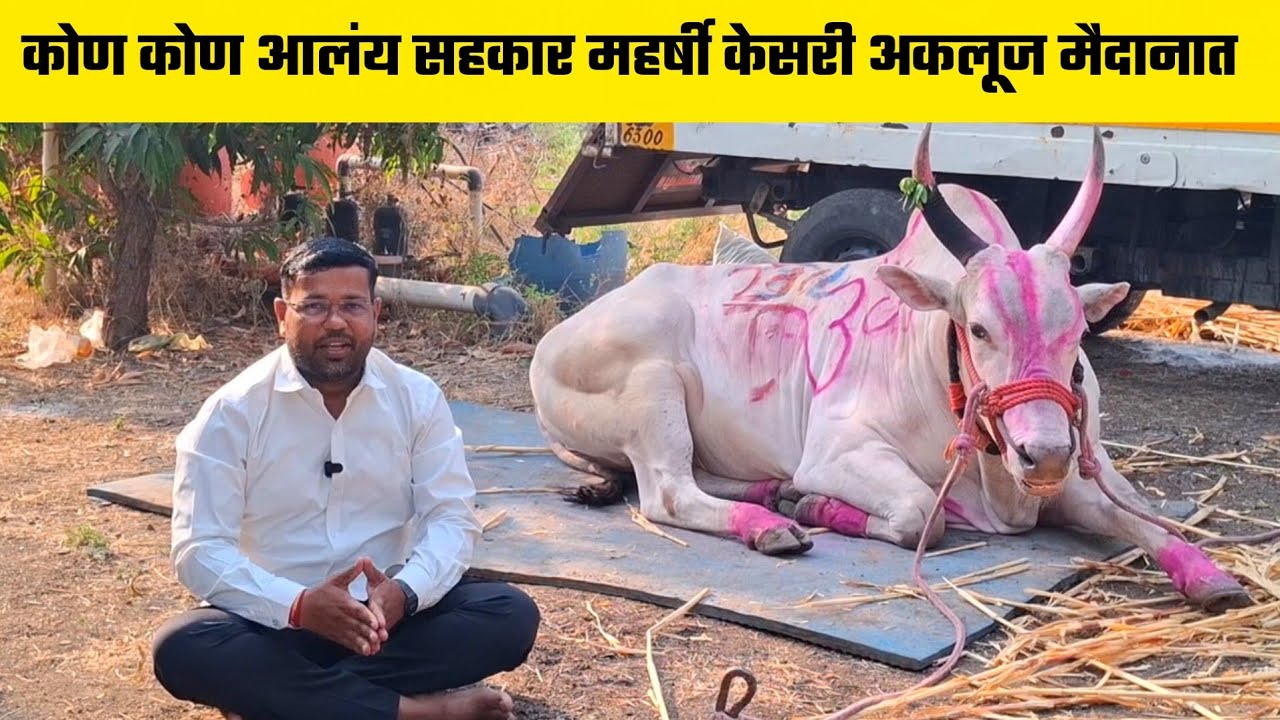 कोण कोण आलंय सहकार महर्षी केसरी अकलूज मैदानात  | 2026