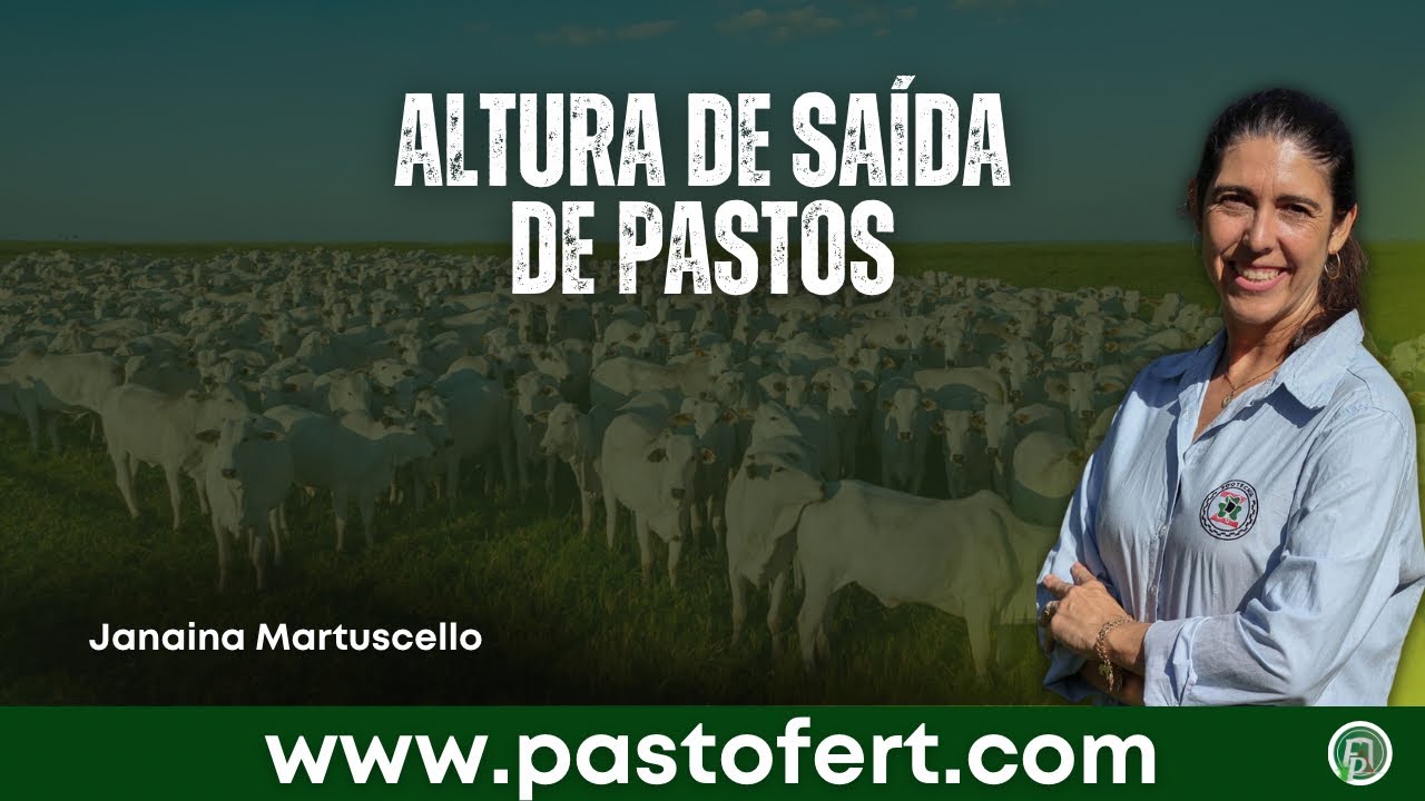 MANEJO DE PASTAGENS: ALTURA DE SA&Iacute;DA
