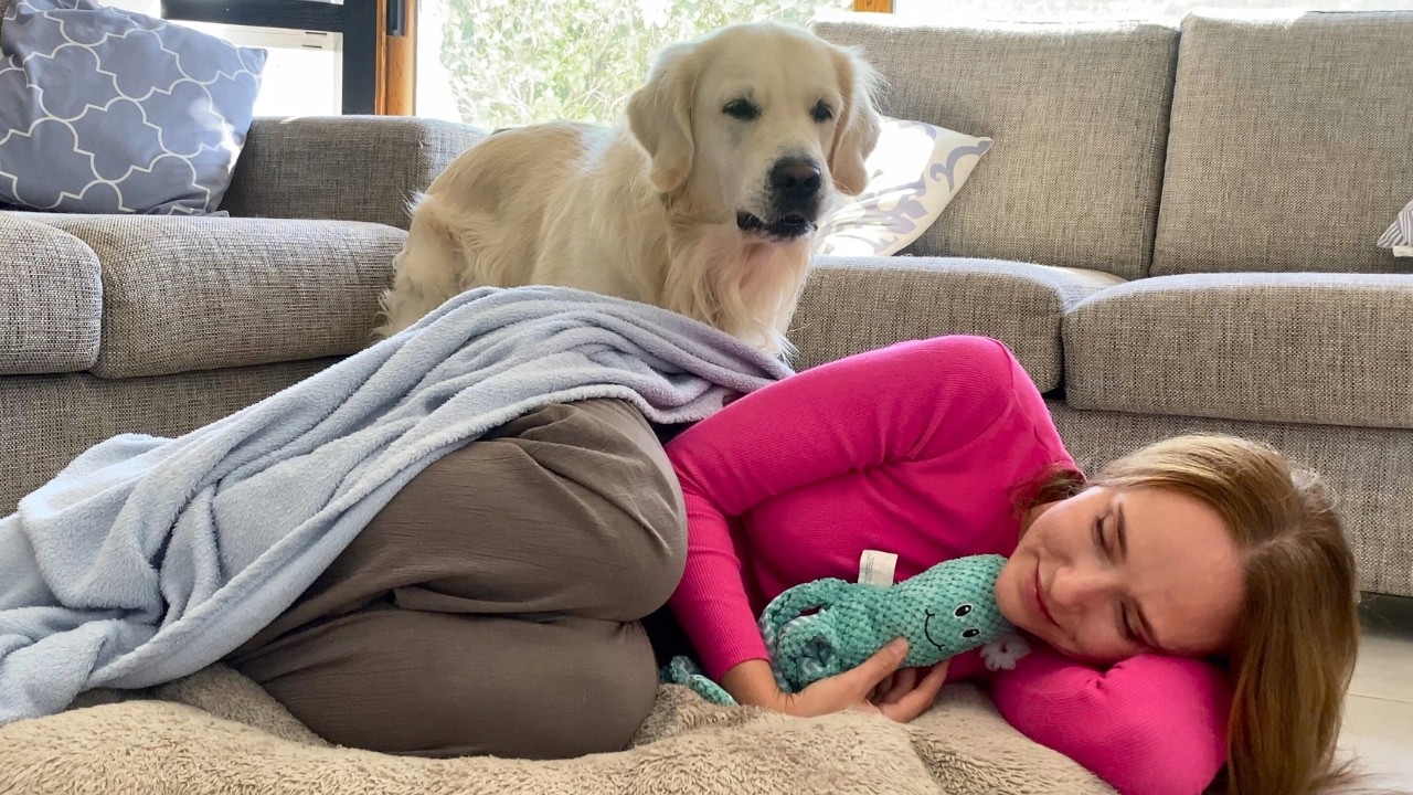 Stealing my dog's bed and sleeping in it