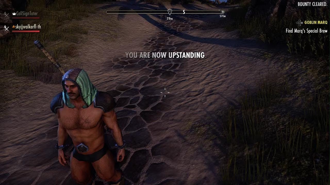 Chad Warrior get arrested and fights the chud stunlock wizard in eso
