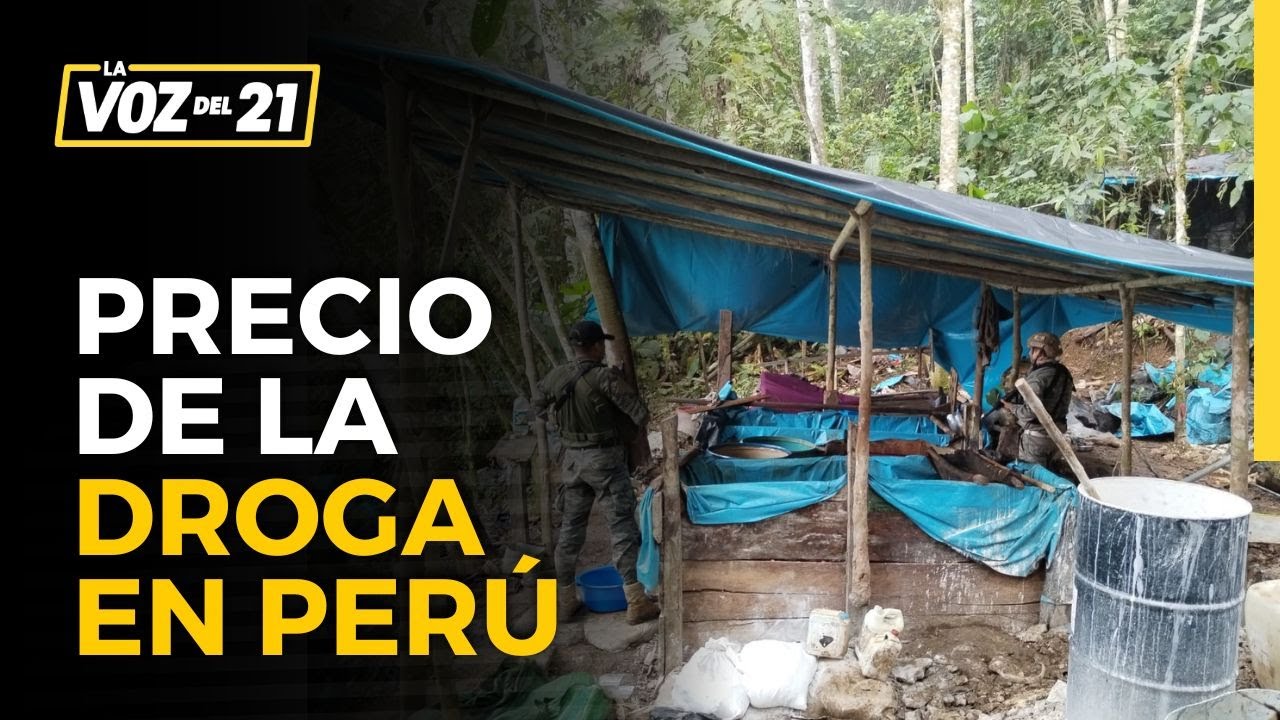 PRECIO DE LA DROGA EN EL PERÚ y su demanda se dispara en el Vraem y otras zonas