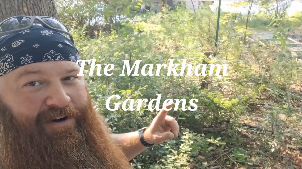 From Wild Forest to Dream Garden: Time-Lapse Transformation with Fire Pit