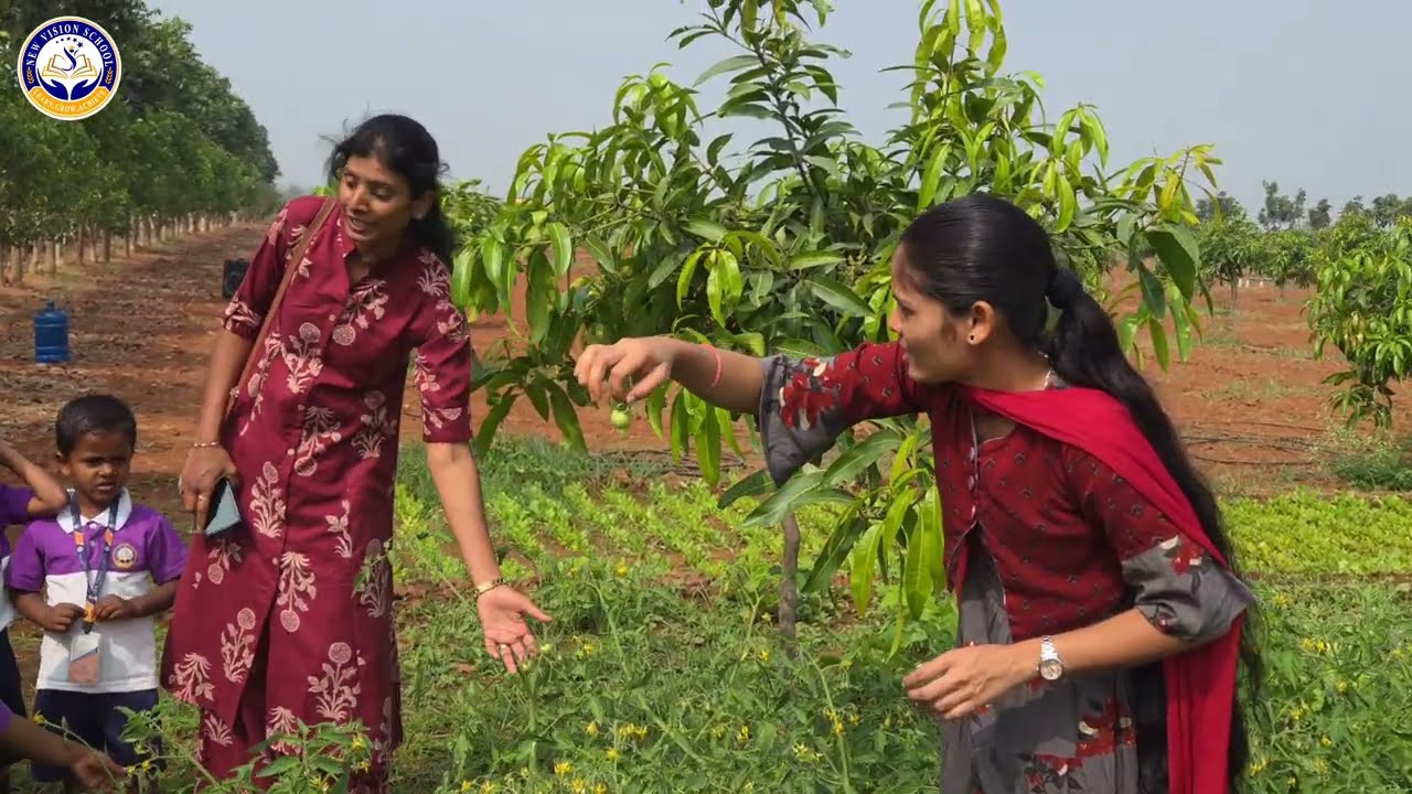 Nursery Kids Nature Walk | Learning from Nature | Vegetables Identification🌱🥕