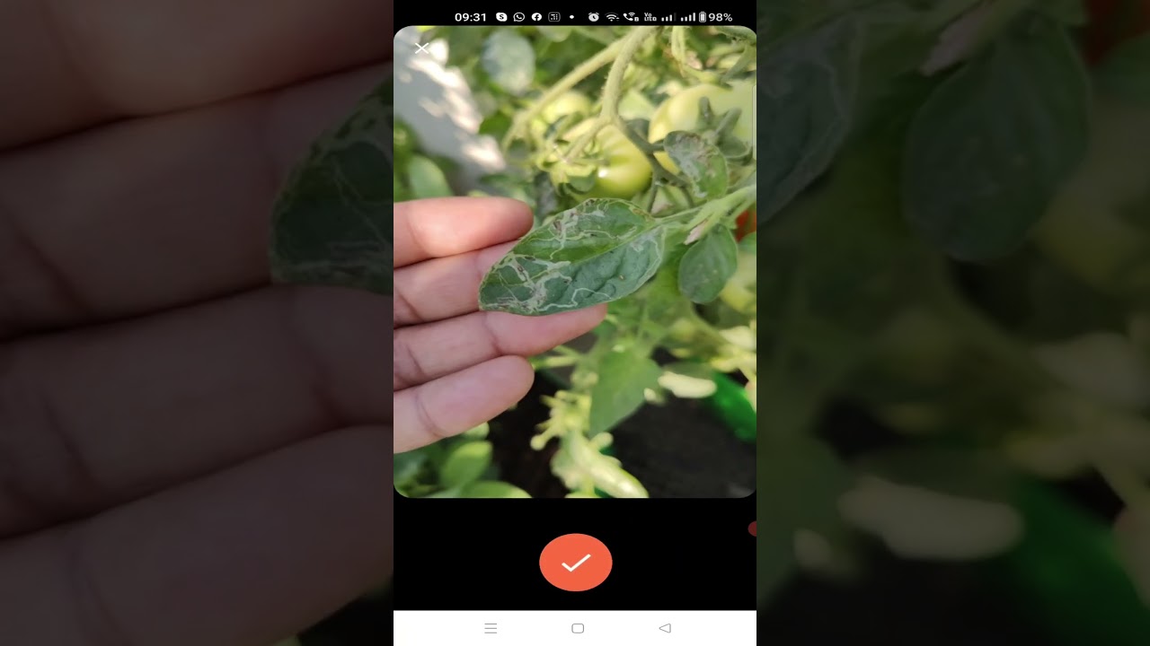 Meet Plantix: Crop Doctor Extraordinaire 🌽 Best Agri App | Spot Plant Damages Like a Pro 🎯 #shorts