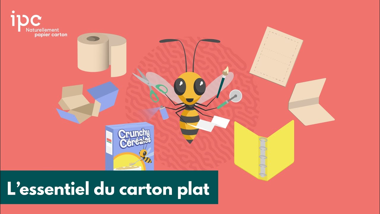 CARTON PLAT 🧃 Comment le fabriquer ? Découvrez l’essentiel