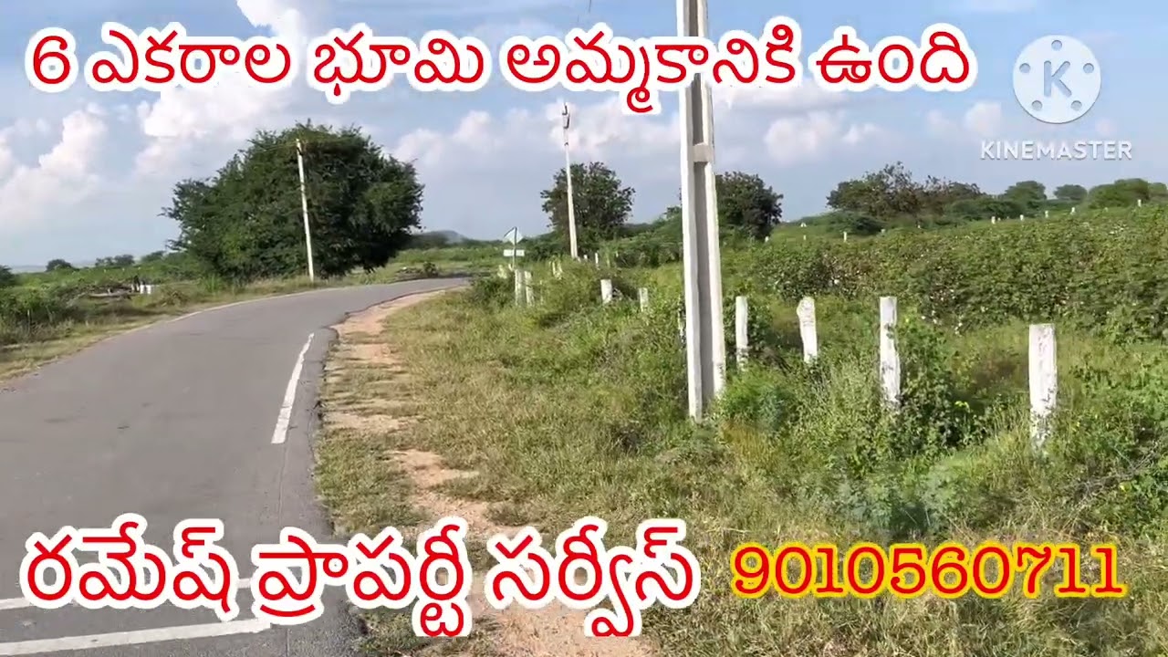 6 ఎకరాల వ్యవసాయ భూమి అమ్మకానికి ఉంది బీటీ రోడ్ బిట్టు రైతు దగ్గర ఉంది జనగామ జిల్లా 9010560711