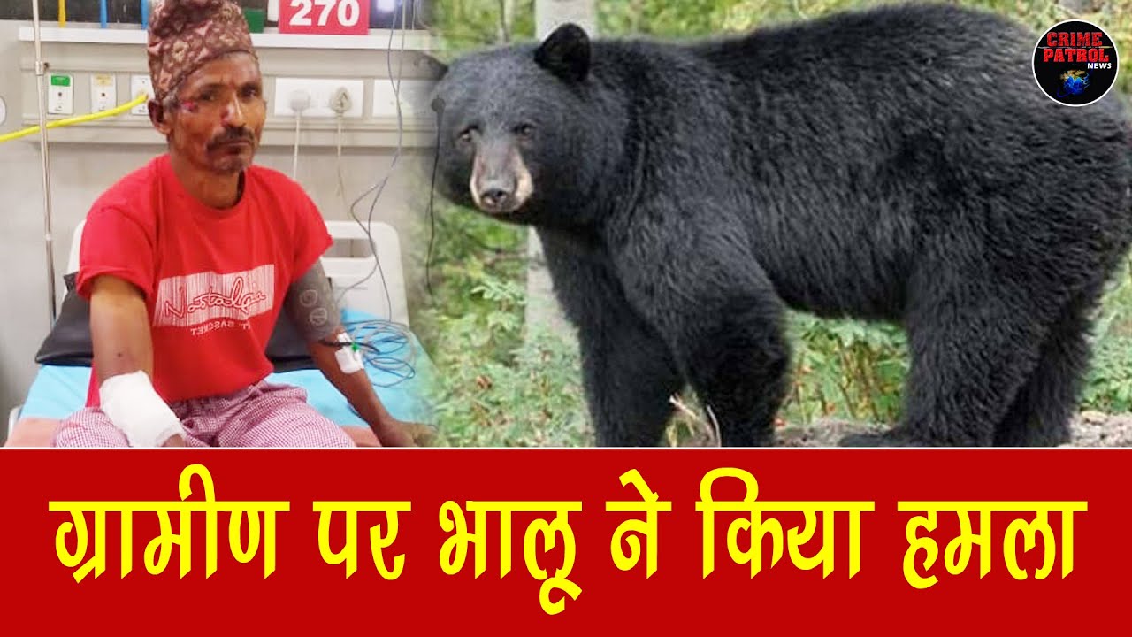Crime Patrol News | ग्रामीण पर भालू ने किया हमला | #bear #attack