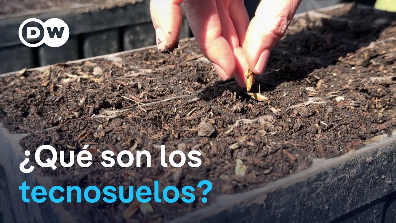 De cascajo a tierra fértil: suelos a medida