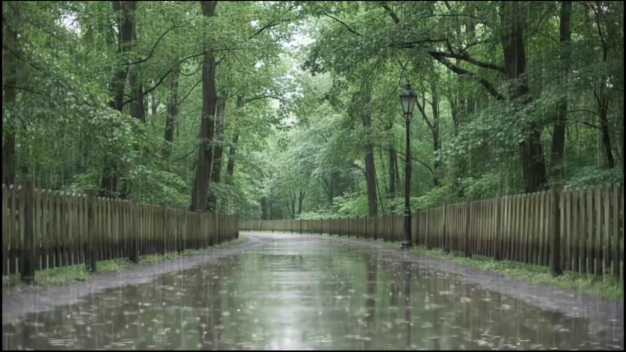 Night Rain Drifting Through Green Woodland | Gentle Nature Soundscape for Sleep and Meditation Music