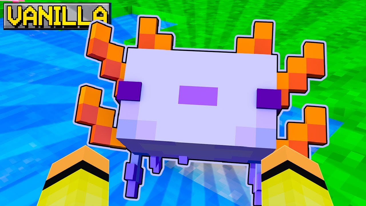 NON CI CREDO AL PRIMO COLPO AXOLOTL BLU  nella VANILLA - MINECRAFT 53