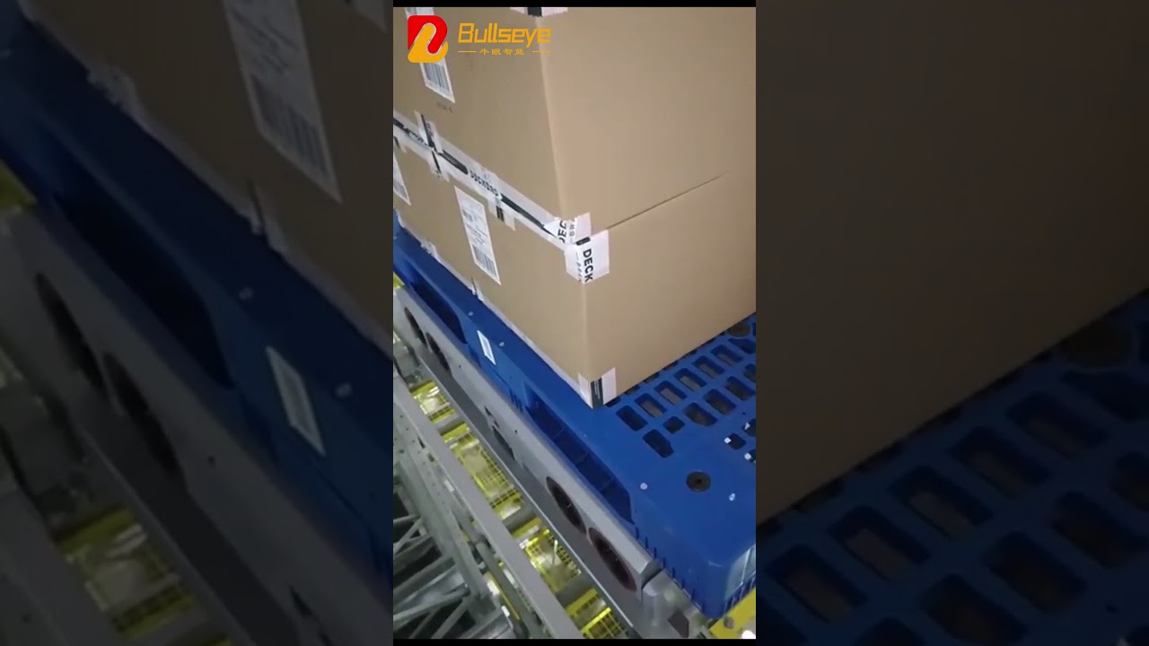 Bullseye Intelligent Four-way Shuttle Case - Malaysia 3PL Project 03