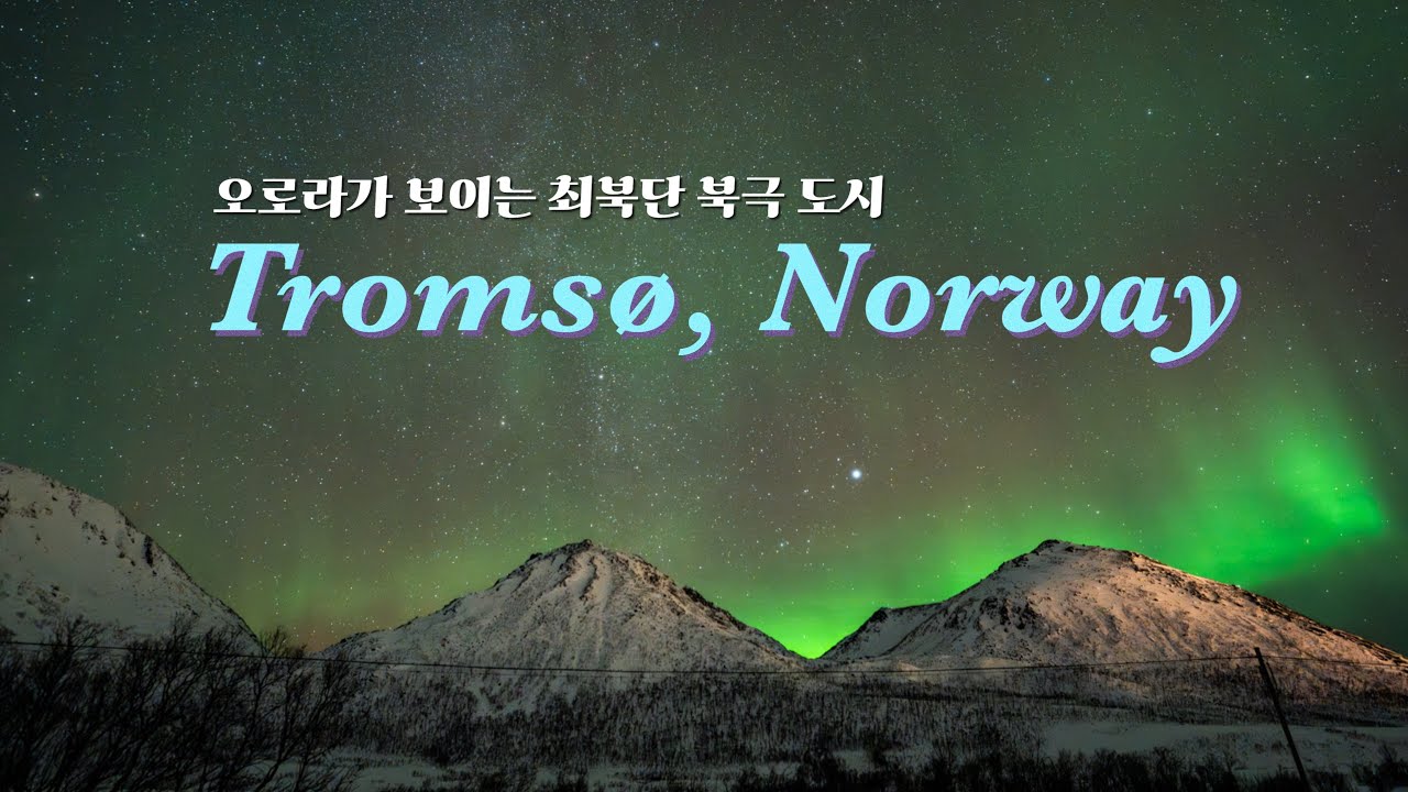 오로라 투어에 20만 원을 태워? 🔥 | 지구 최북단 도시 트롬쇠에 가다.