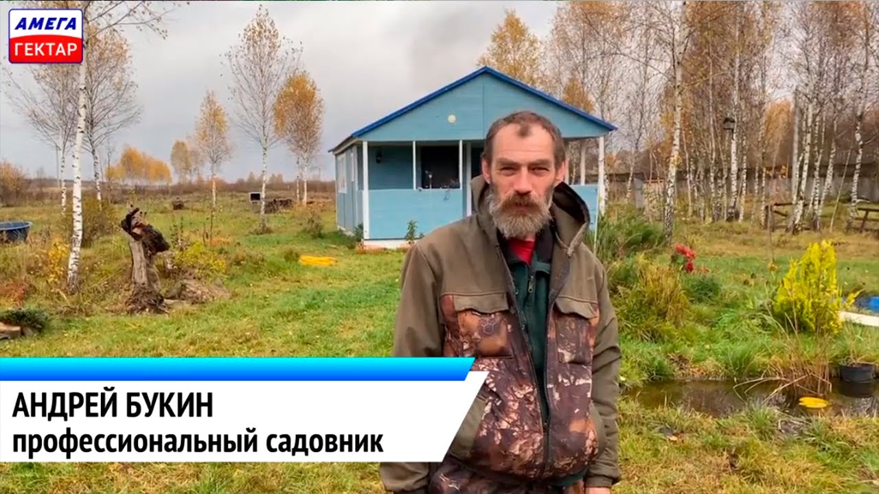 Фермерское хозяйство Андрея Букина в Калужской области