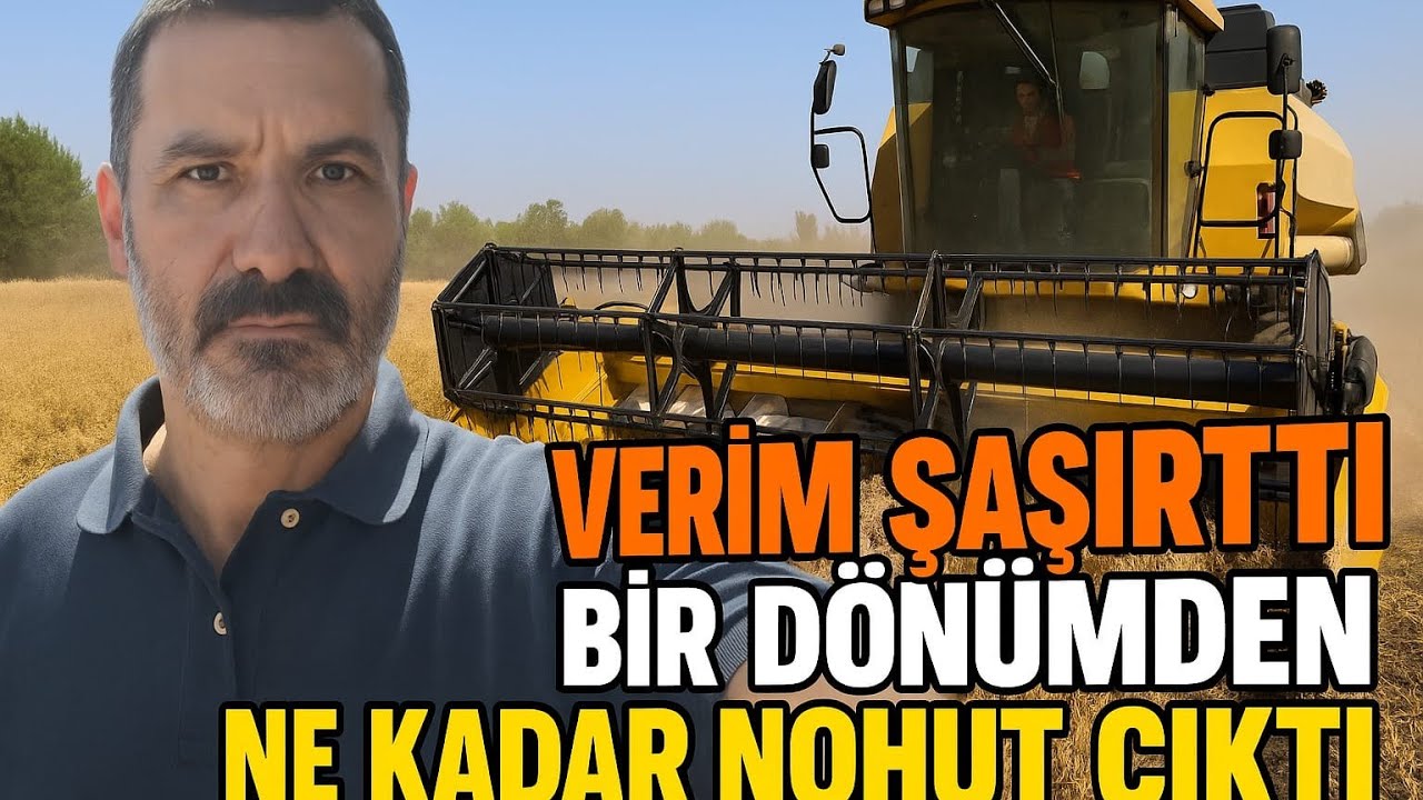 Verimli Nohut Hasadının Sırları, Çiftçilerin Bilmesi Gerekenler