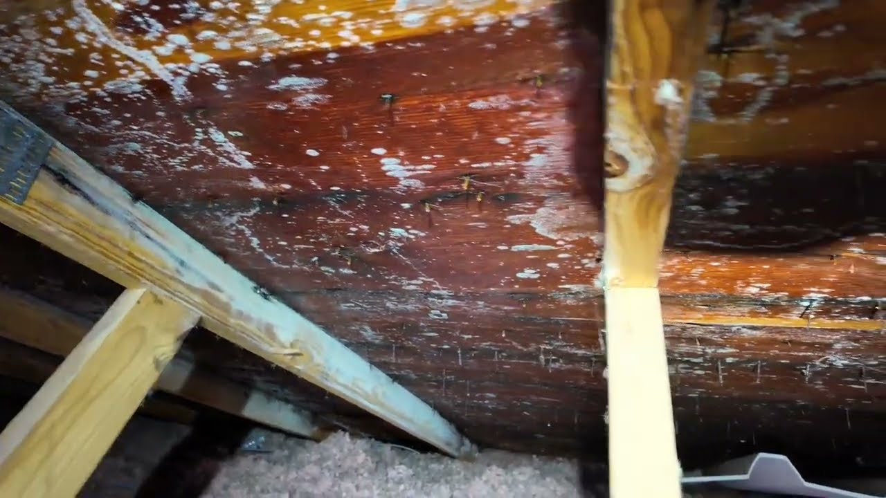 Solving Attic Condensation Issues: Expert Insights from Holda Construction