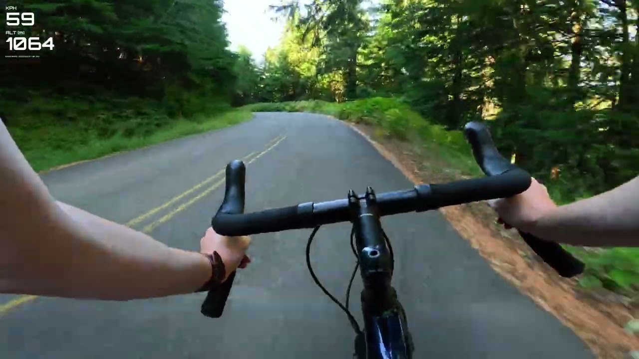 Descending The Highest Peak In The Oregon Coast Range