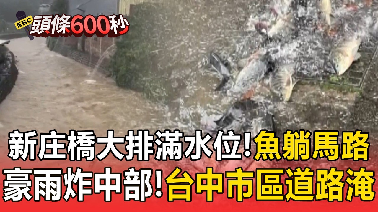 新庄橋大排滿水位「魚游出來躺馬路」！豪雨炸中部「台中市區道路淹」【頭條600秒】