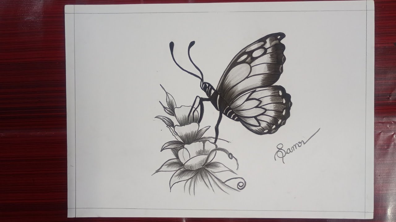 Easy and simple butterfly drawing//"तितली की खूबसूरत ड्राइंग कैसे बनाएं"// Samreen art work