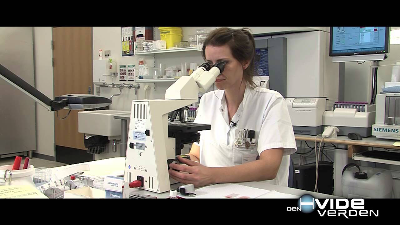 Den Hvide Verden 2014 - Louise, bioanalytiker