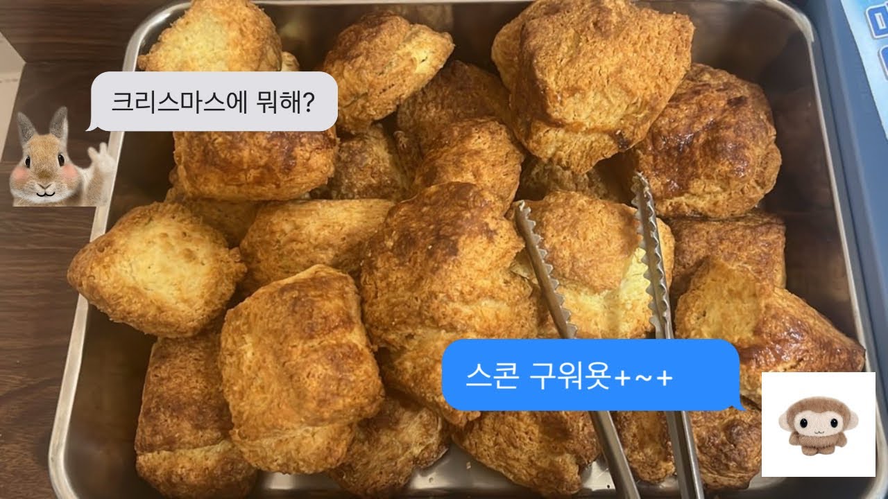 [브이로그] 크리스마스에 스콘 굽는 영상