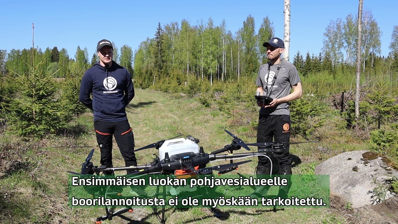 Booria taivaalta - dronelannoitus taimikoille (päivitetty video)