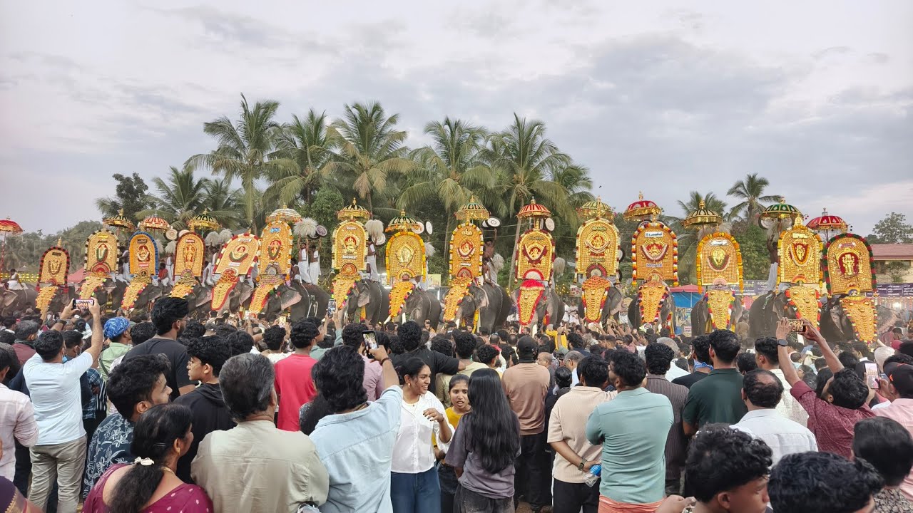 അന്നംകുളങ്ങര പൂരം 2026 🔥❤️ Annamkulangara Pooram 2026 🔥 #elephant #aanapooram #aana #annamkulangara 