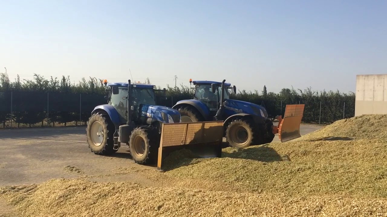 New Holland T7.290 T7.270 & T5.115 Silage/Ceroso 2017