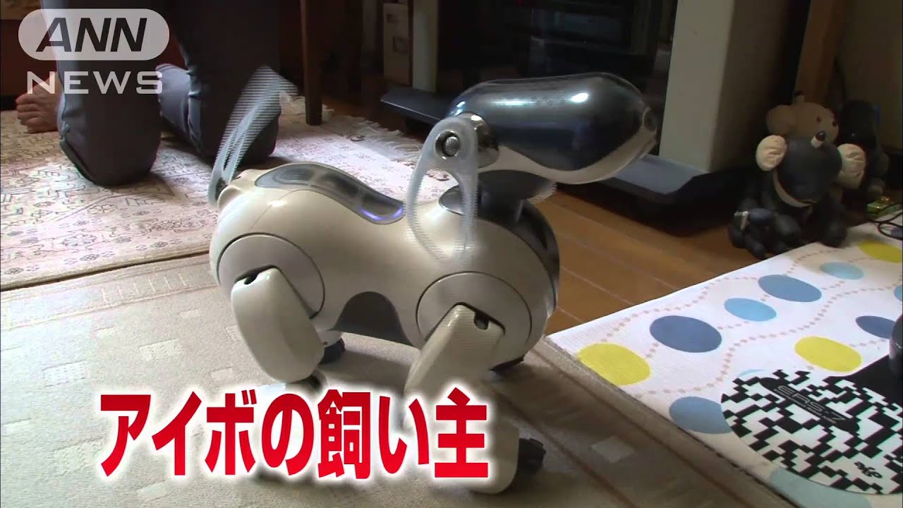 永遠の命のはずが・・・“ロボット犬の病院”閉鎖(14/8/16)
