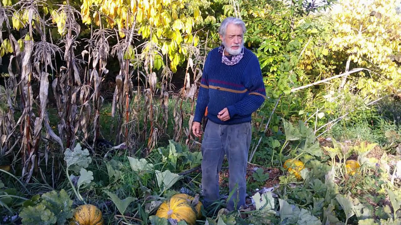 Kakai: A pumpkin with nutritious, 