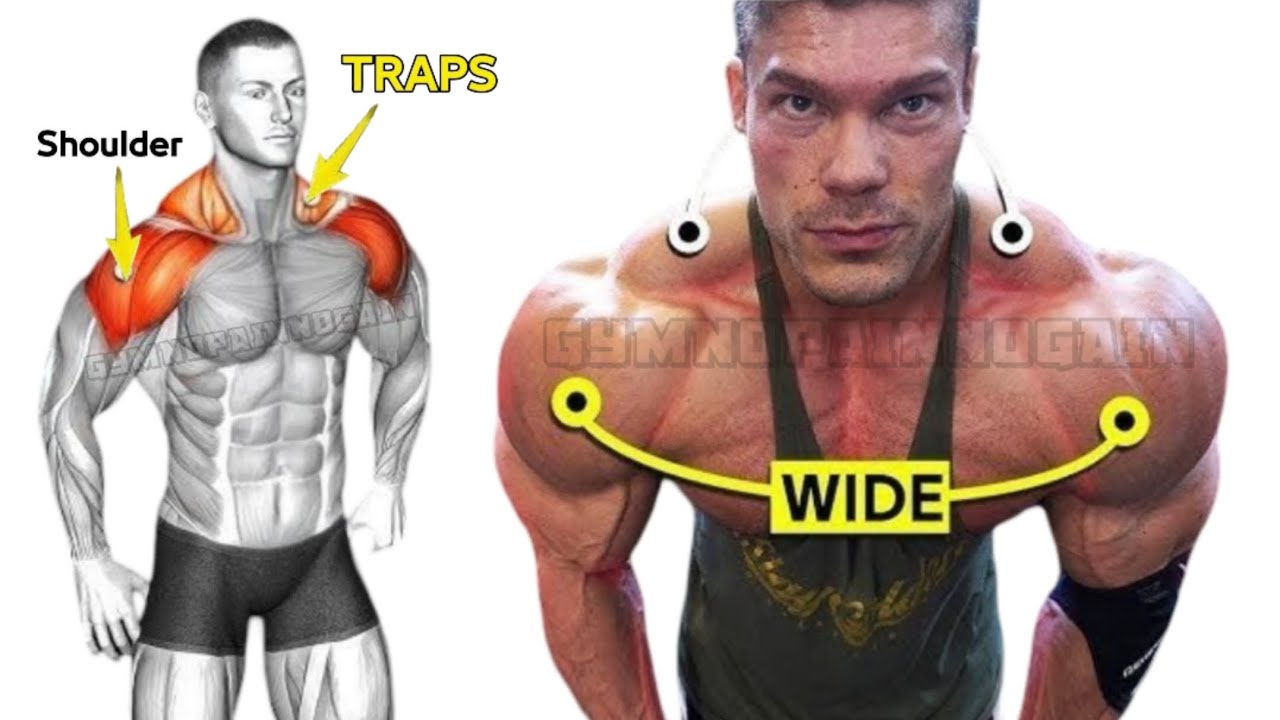 Best Exercise For WIDER Shoulder | 🎯 Target Shoulder & Traps ✅️