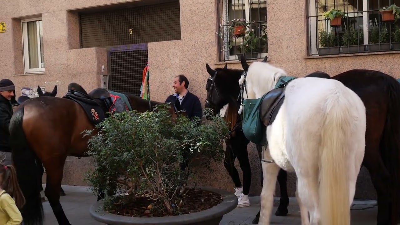 2023 (3/03) FESTES DE SANT MEDIR A GR&Agrave;CIA.   CERCAVILA DE LES COLLES, CAVALLS CARROSSES I CAMIONS