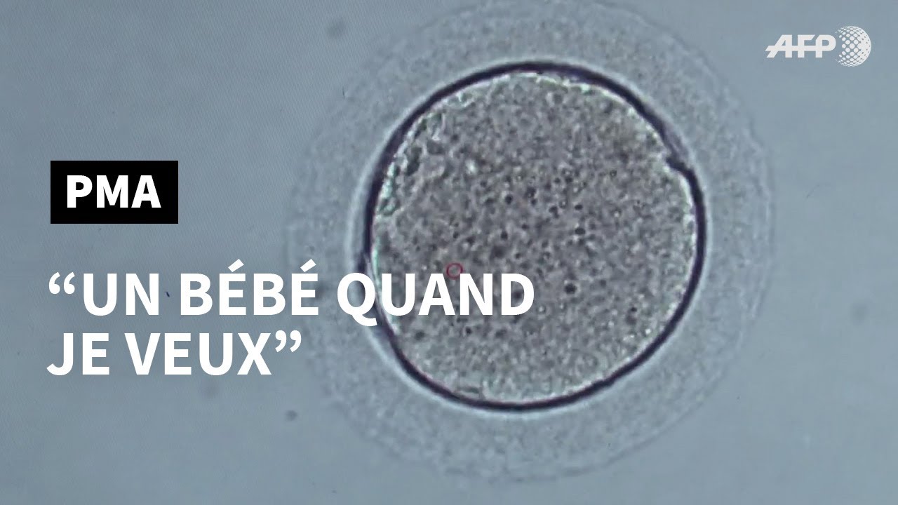 PMA: ces femmes qui font congeler leurs ovocytes | AFP Reportage