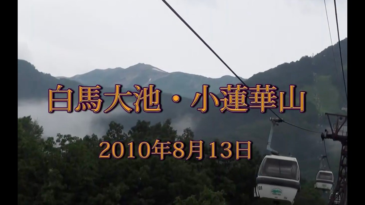 206 北アルプス 白馬岳8月2010年8月13日白馬大池小蓮華岳 - 生物多様性体験保全センター 高山植物を主とした野生植物の映像集