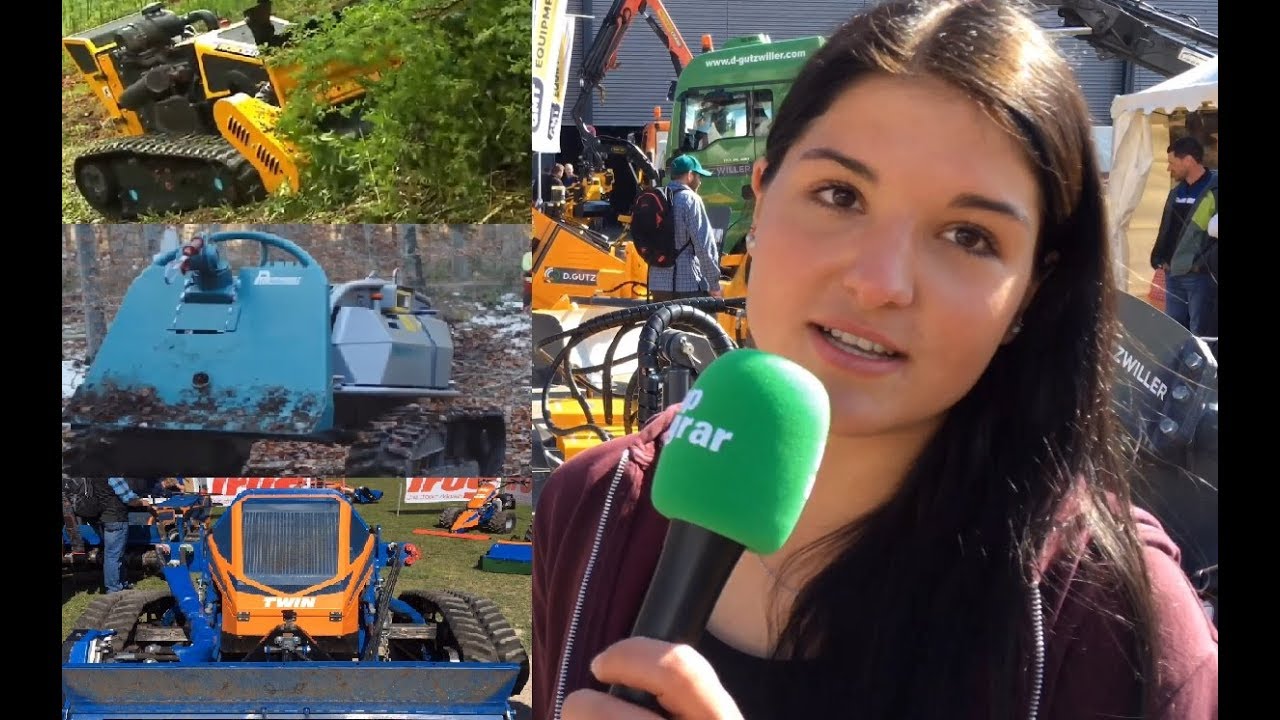 Julia sucht die Superraupe