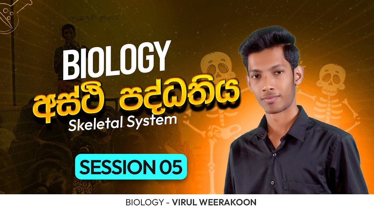 සාකොමියරය හා සර්පණ සූත්‍රිකා වාදය | Sarcomere and Sliding Filament Theory
